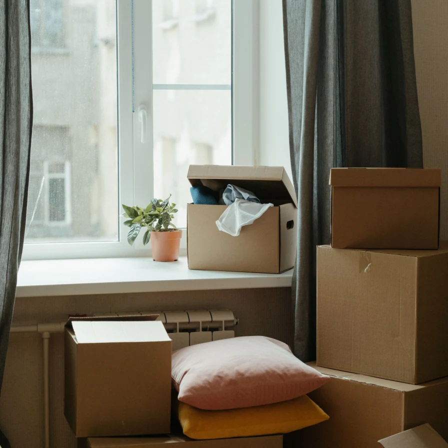 Cajas de cartón de mudanza junto a una ventana, con una planta en el alféizar y dos cojines